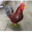 Statue coq grandeur nature