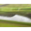 Bus Window 4 Print by Harold Davis-65781065-65781064