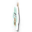 Gruia Wall Decor