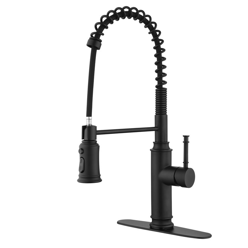 Aodisman Pull Down Kitchen Faucet