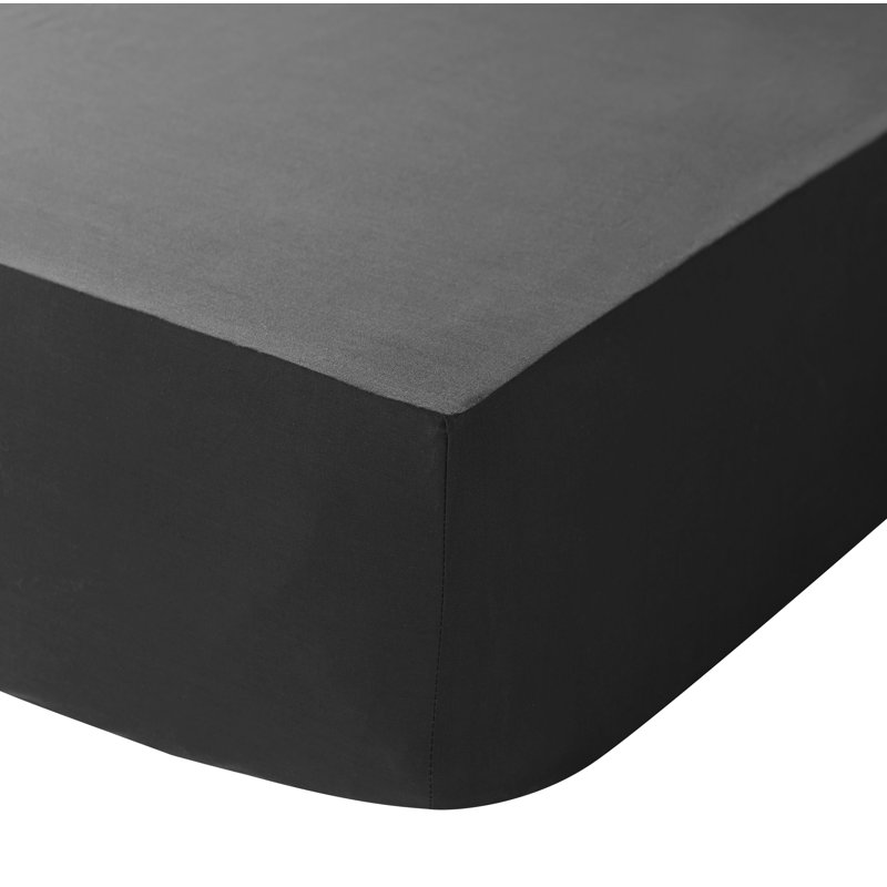 Easy Iron Percale Fitted Sheet, Super King (6'), Black