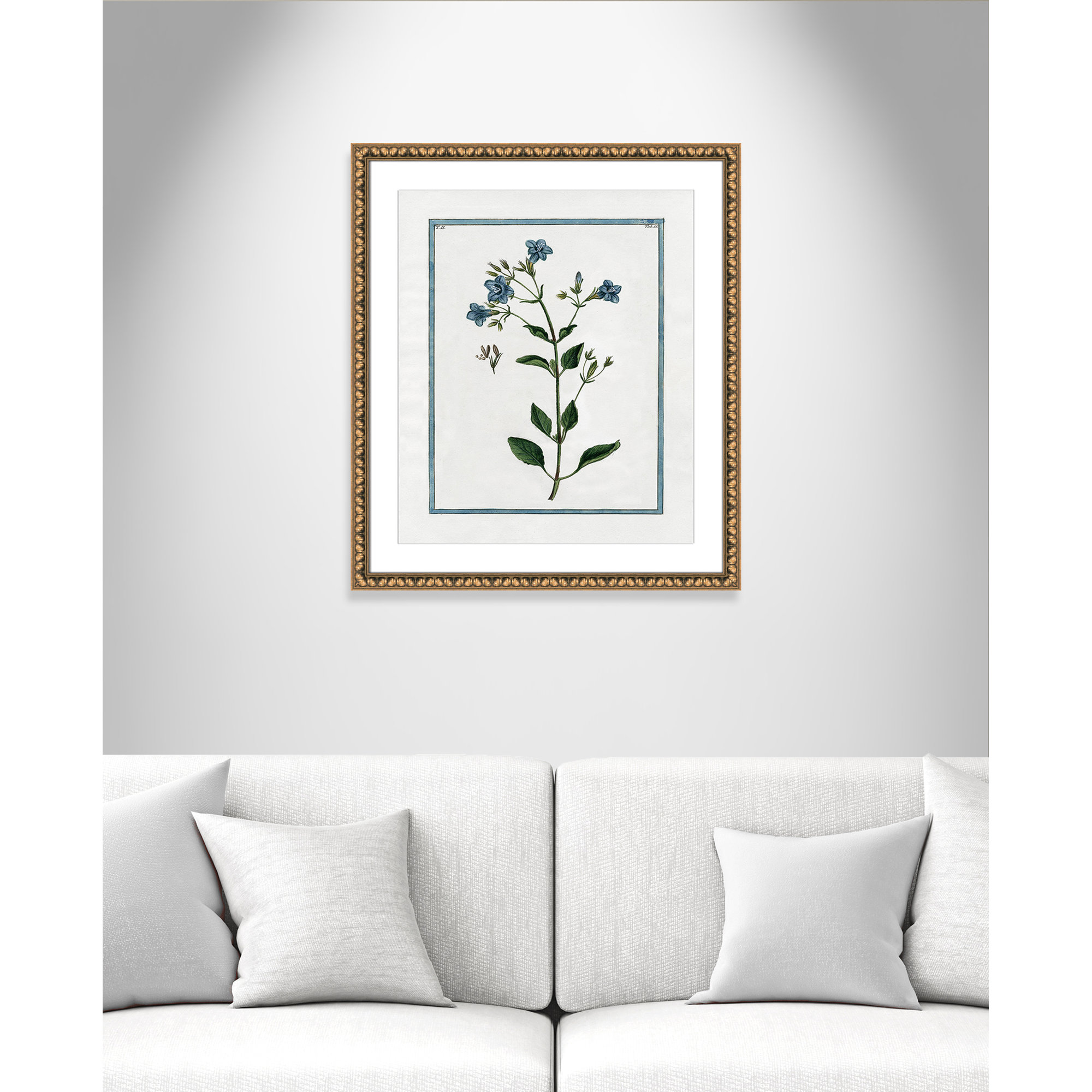 Shabby Elegance Botanical II - Framed Art, 22.5" W x 26.5" H, Gold Bead Framed
