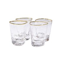 Schott Zwiesel Paris 13.5 oz. Rocks / Double Old Fashioned Glass Sets –  Team Ice Store