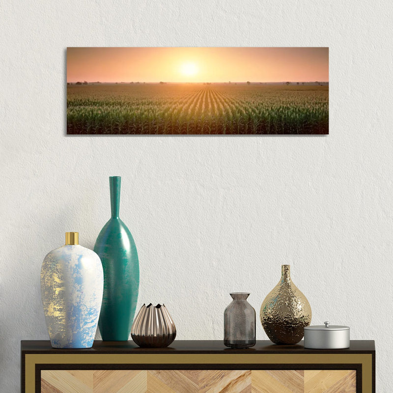 View Of The Corn Field During Sunrise, Sacramento County, California, USA - Wrapped Canvas Panoramic Print