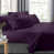 Aubergine