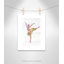 Ballet toute la journée 3-48187463-48187467