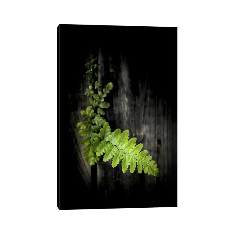 Green Power - Wrapped Canvas Print, 20.32 cm H x 30.48 cm W