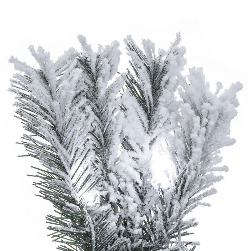 Pfeiffer 36' Lighted Pine Christmas Tree