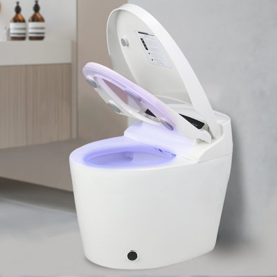 Smart Toilet With Warm Water Sprayer And Dryer, One Piece Bidet Toilet With Auto Dual Flush Foot Sensor Operation,Heated Seat Smart With Built In Fahrenheit Led Display