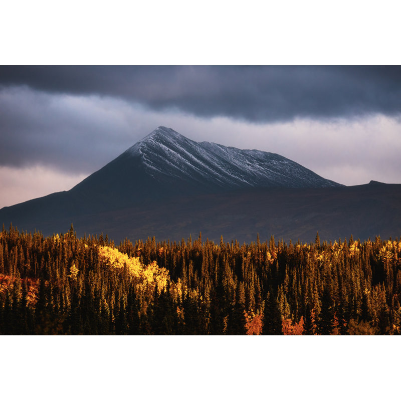 Wrapped Canvas Print, 50.8 cm H x 76.2 cm W