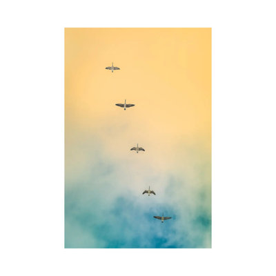 Oies dans le ciel