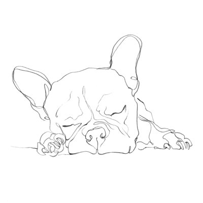 Bouledogue français contour I