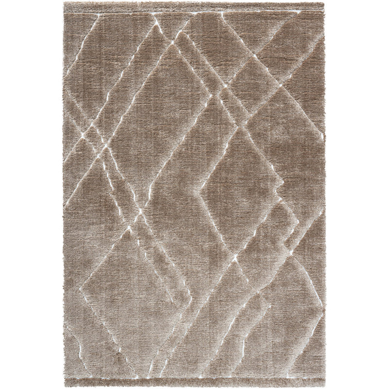 Ardent Abstract Area Rug, Rectangle 240 x 340cm