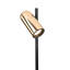 Beverlie Iron Desk Lamp