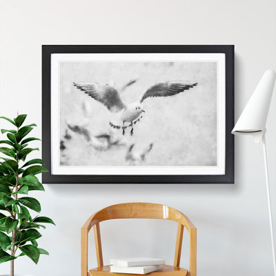 Seagull Birds - Picture Frame Graphic Art