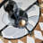 Ashtrid 12'' Ceiling Fan with Light