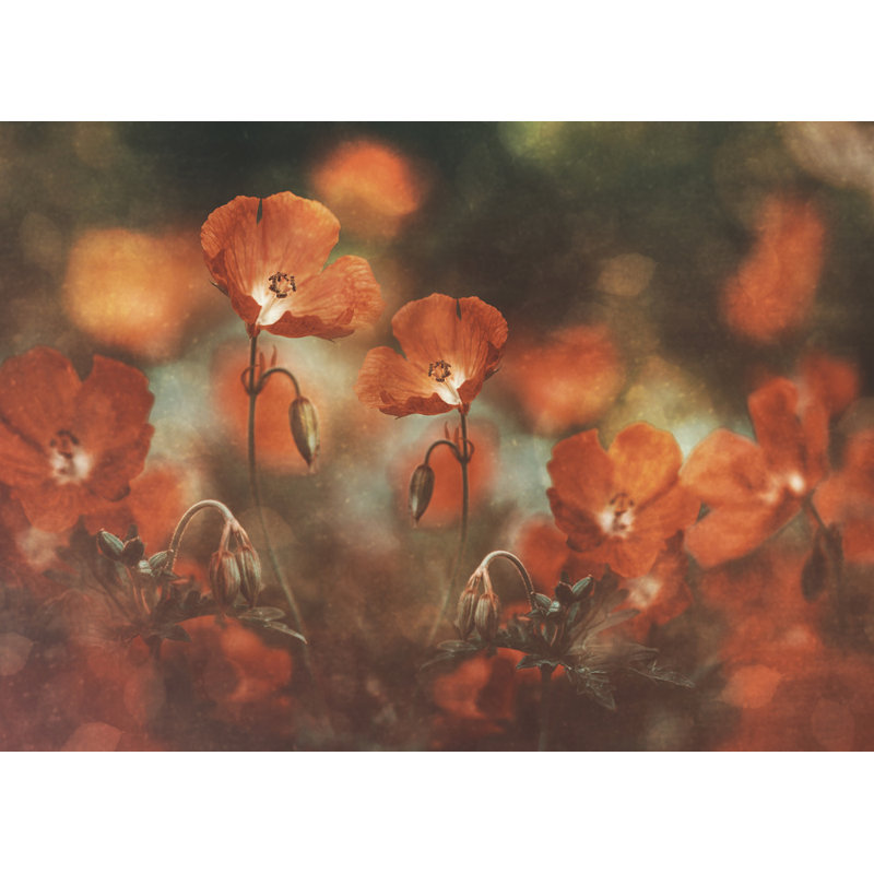 Wrapped Canvas Print, 50.8 cm H x 76.2 cm W
