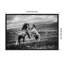 «Wild and Free Horses» par Vedran Vidak, reproduction d'art sur toile encadrée-1147253011