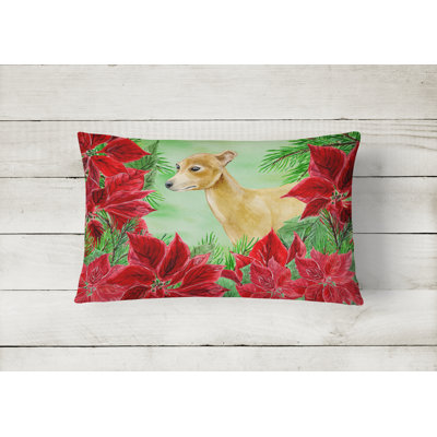 Outdoor Throw Pillow