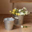 Jardinière en seau galvanisé-656349031