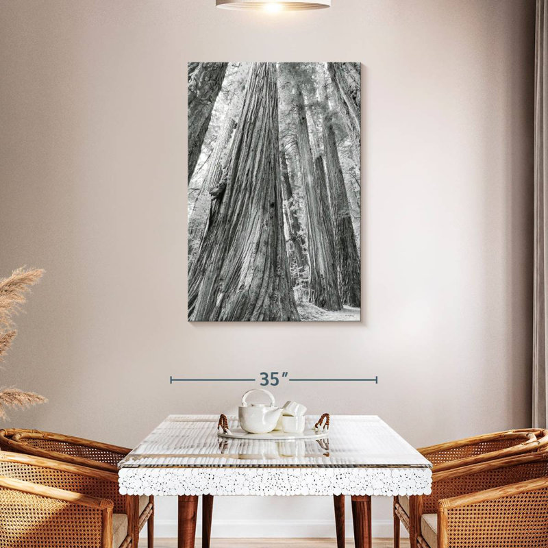 Harnek Redwoods Forest BW, 45" H x 30" W