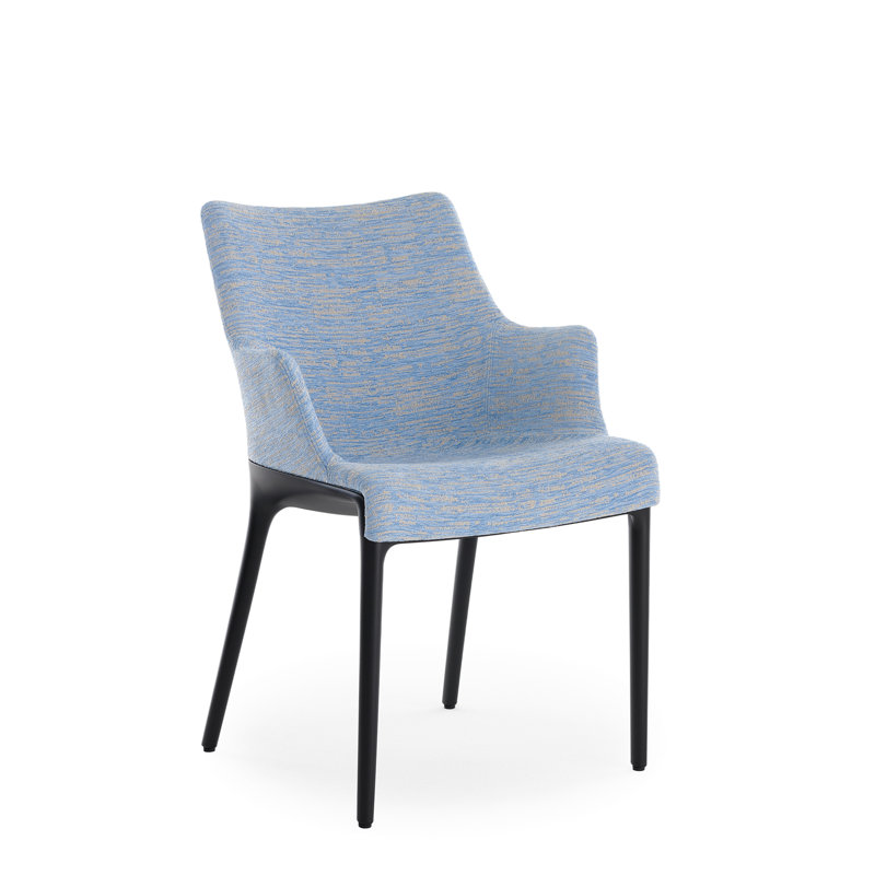 Eleganza Nia, Noir, Bleu clair