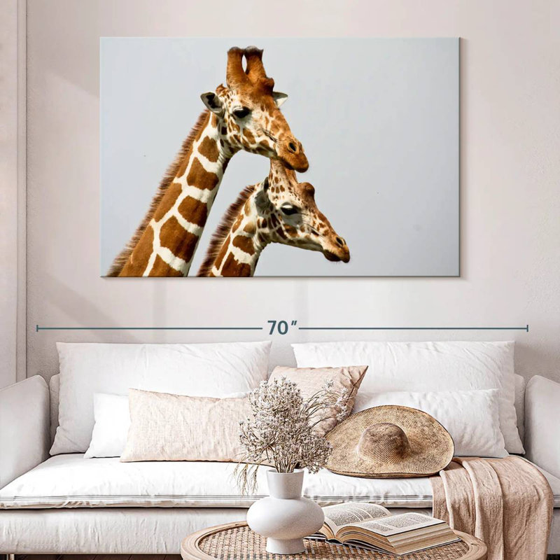 Brampt, girafes de Somali