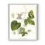 Passion Passion Trio I, reproduction encadrée - bois massif-1578760983-1578760982
