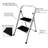 2 - Step Steel Folding Step Ladder