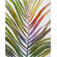 Watercolor Tropical Palm Leaf - Office Green, reproduction encadrée