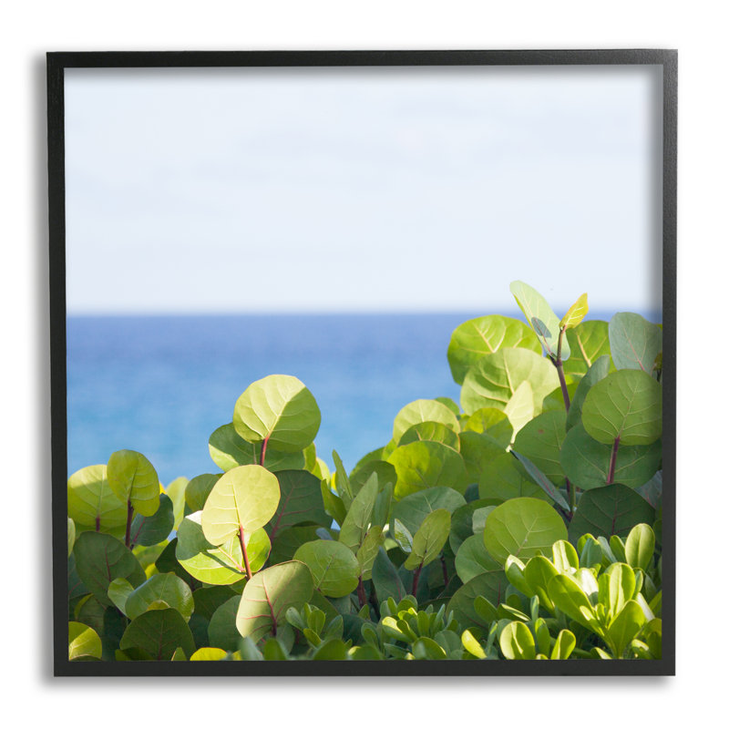 Plantes luxuriantes au loin, Giclée encadrée noir minuit, H 12 po x l 12 po x P 1,5 po