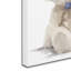 «Baby Boy» par Armand, reproduction sur toile-21650619