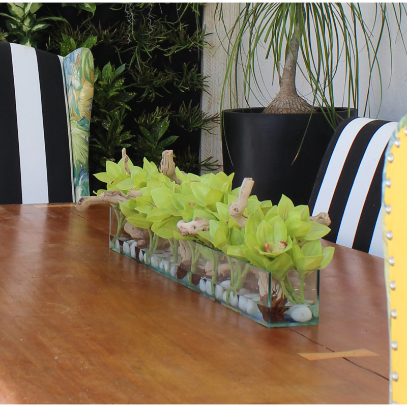 Driftwood Cymbidium Orchids Centerpiece in Glass Planter, 8" H x 48" W x 6" D, Green