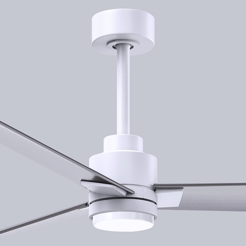 Ventilateur de plafond Alessandra, Nickel brossé, Blanc mat, 56"