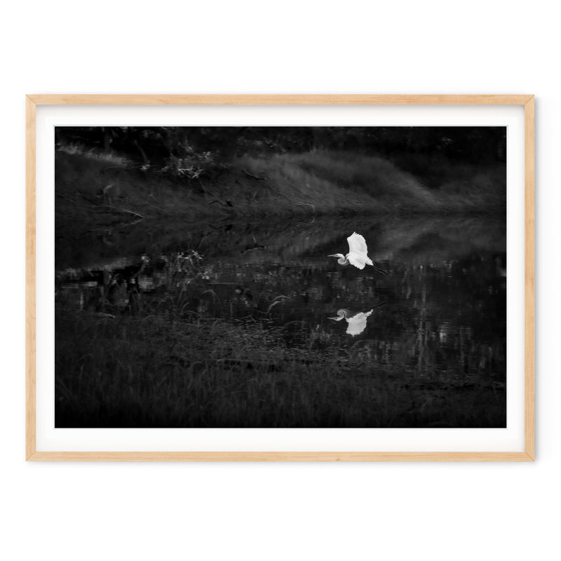 Snowy Egret, Natural, 24" H x 32" W