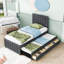 Lit plateforme tapissier avec lit gigogne et tiroirs de rangement-778333924-778333925
