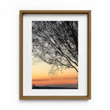 Sunset Tree Print by Joseph Regan