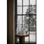 Vermont Twist Evergreen-1910049358