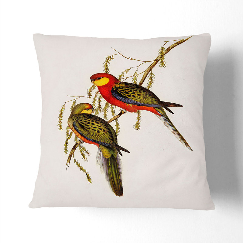 Earl Of Derby's Parakeets Square Throw Cushion, 40cm H x 40cm W x 15cm D
