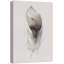 Pastel, aquarelle, faucon, oiseau, plume, gros plan, désert, illustrations, art moderne-101469206