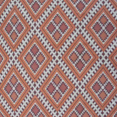 Rio Grande Geometric Fabric