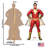 Shazam! accroche en carton