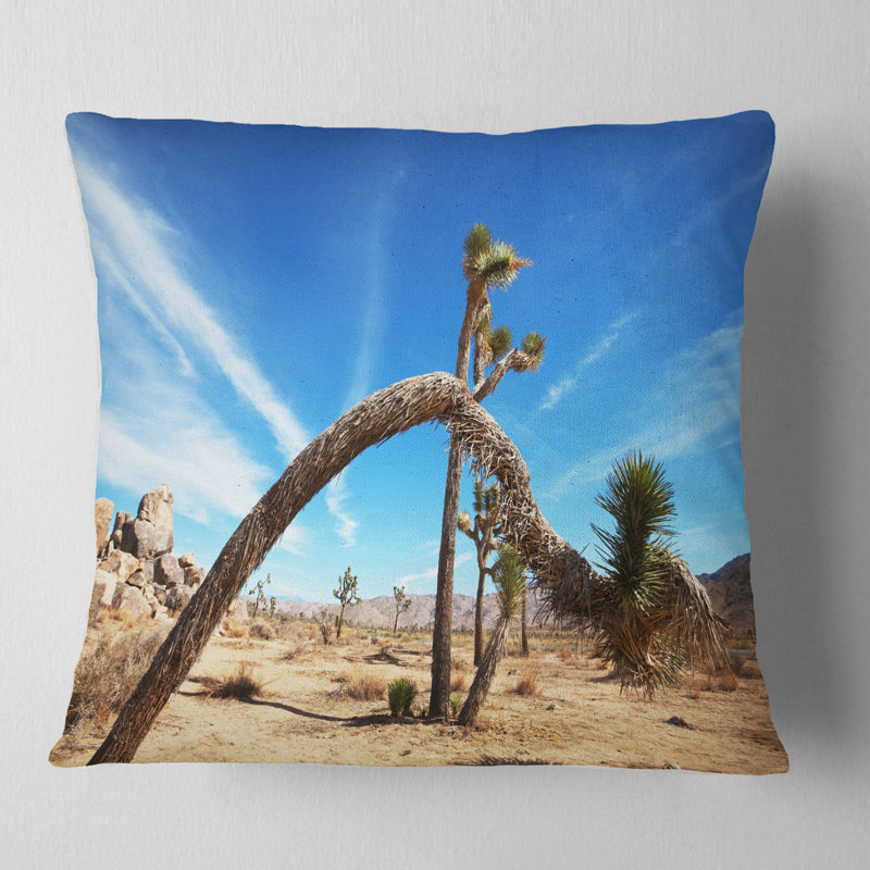 Coussin Schafer, 16 po x 16 po, Coussin décoratif