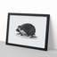 Hedgehog Illustration - Framed Print-55641523-55641521