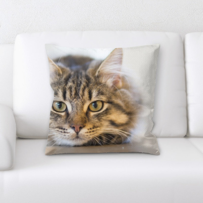 Lassiter Cat Square Pillow Cover & Insert