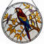 Panneau de vitrail 12 "H Parrot Birds-1636552864