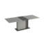 Deangleo Extendable Dining Table