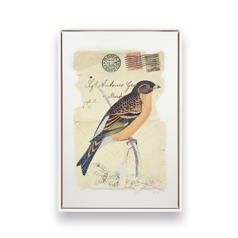 Impression sur toile Mountain Finch par Deborah Revell, H 24 po x l 18 po, Cadre flottant, Blanc