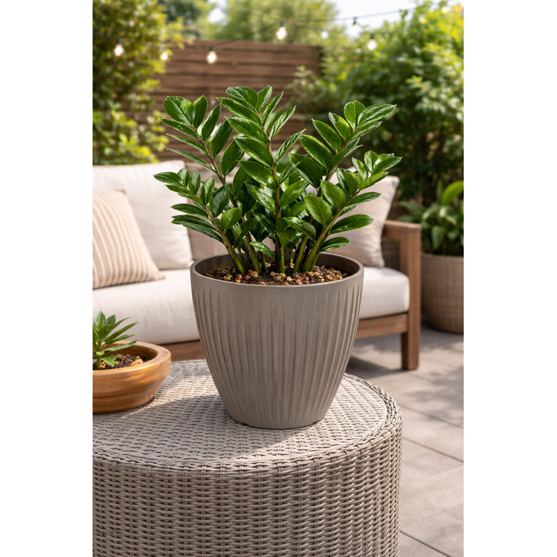 Pot à fleurs rond en plastique de 15,5 po Latia - léger, résistant aux fissures, intérieur / extérieur, granite graphite
