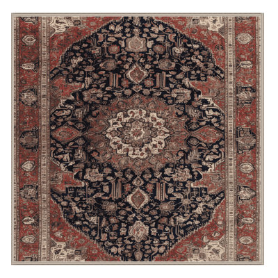 Machine Washable Persian Brown Area Rug